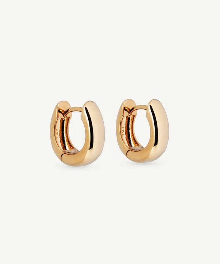Brincos Round Hoops Vidal & Vidal